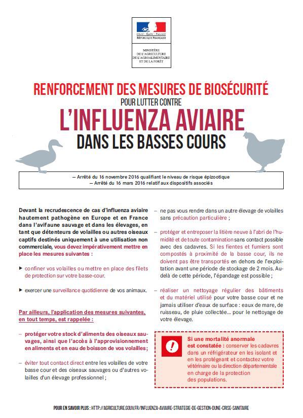 Capture basse cour
